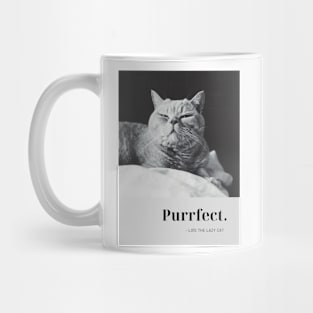 You are purrfect Mug